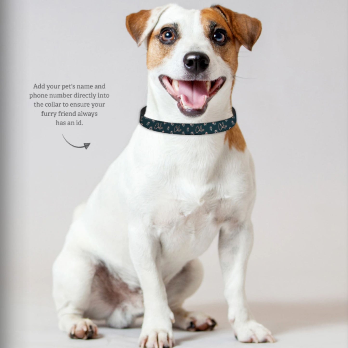 Clip-on Pet Collar - Dog Bones