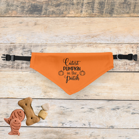 Cutest Pumpkin in the Patch Clip-on Pet Bandana