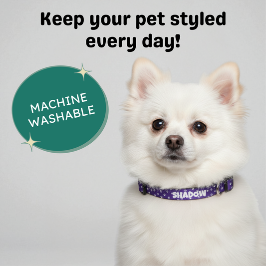 Clip-on Pet Collar - Purple with White Paw Prints