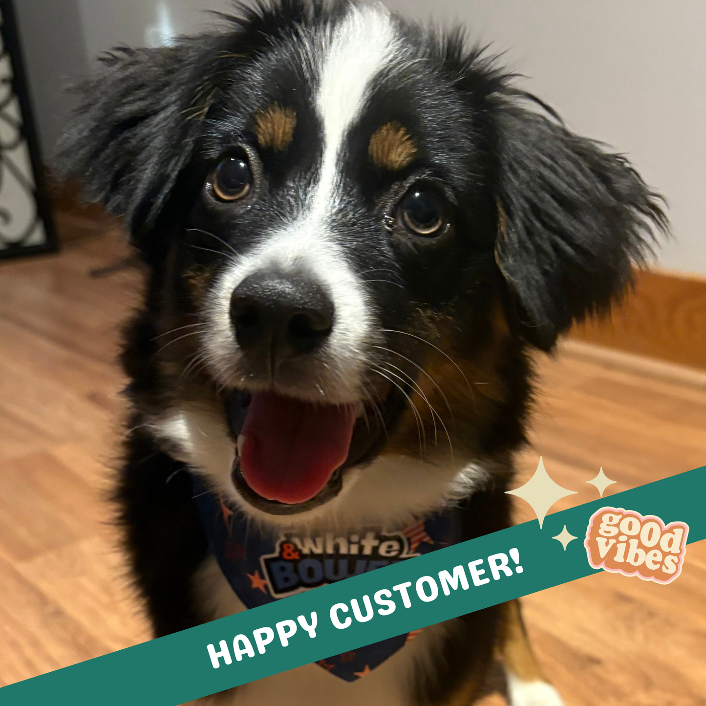 Red, White & Boujee Clip-on Pet Bandana