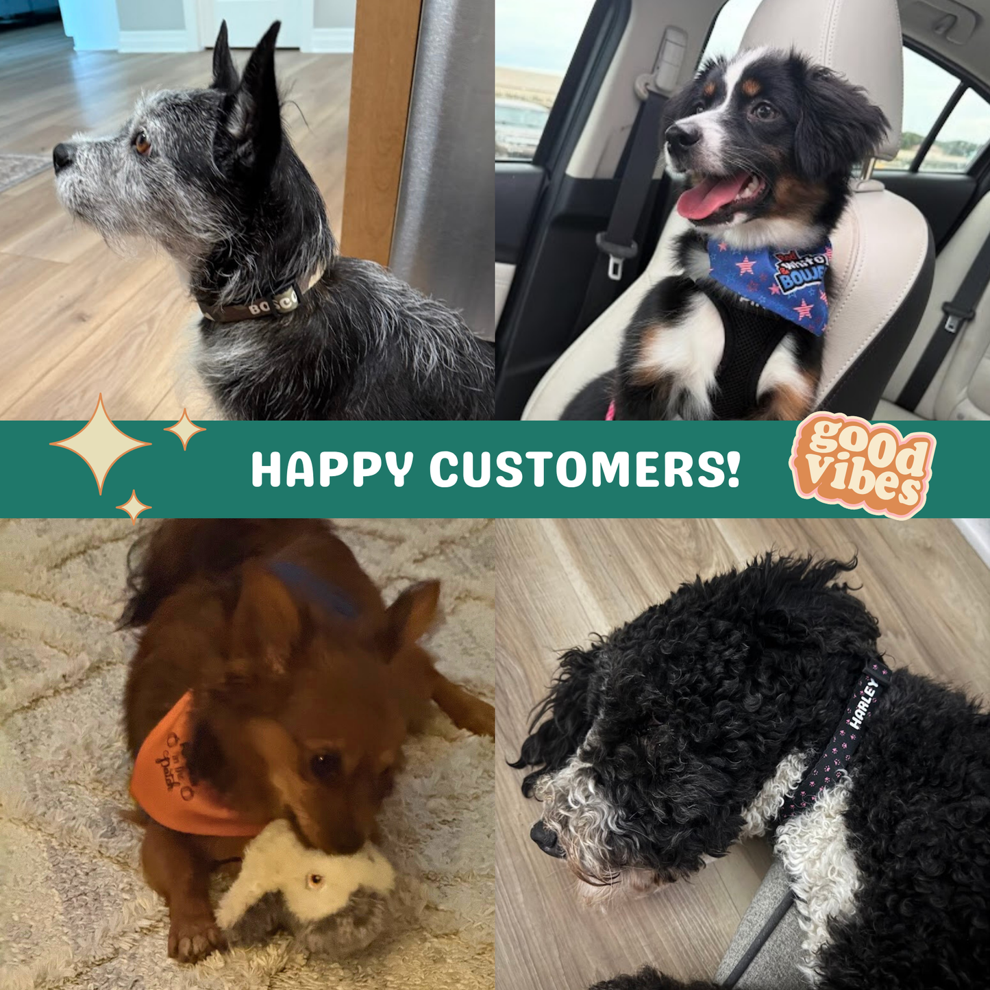 Clip-on Pet Collar - Black with Yellow Paw Prints