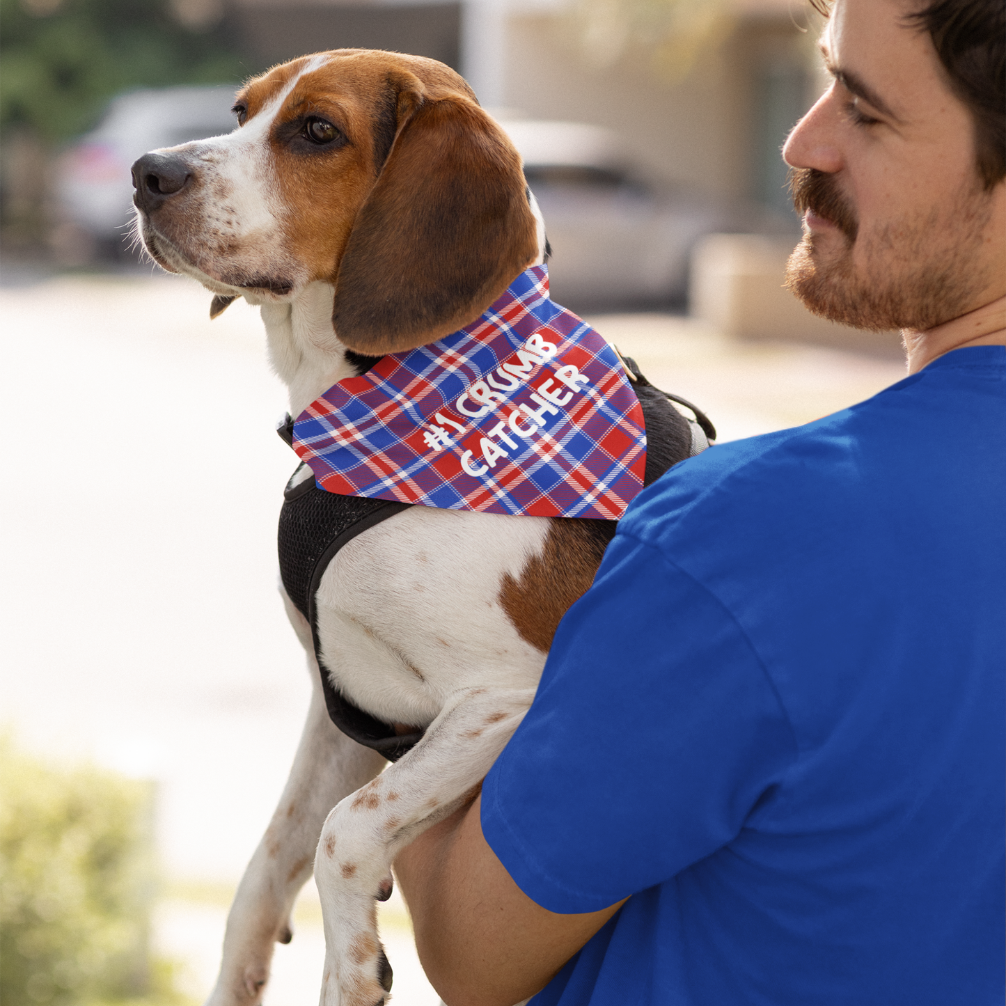 Personalized Clip-on Pet Bandana - Red, White & Blue Plaid