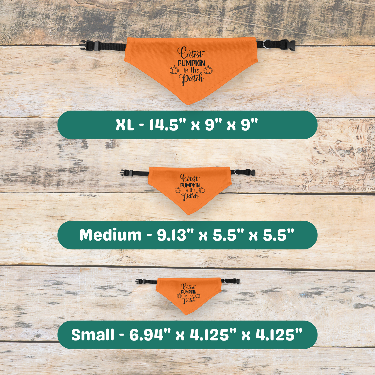 Cutest Pumpkin in the Patch Clip-on Pet Bandana
