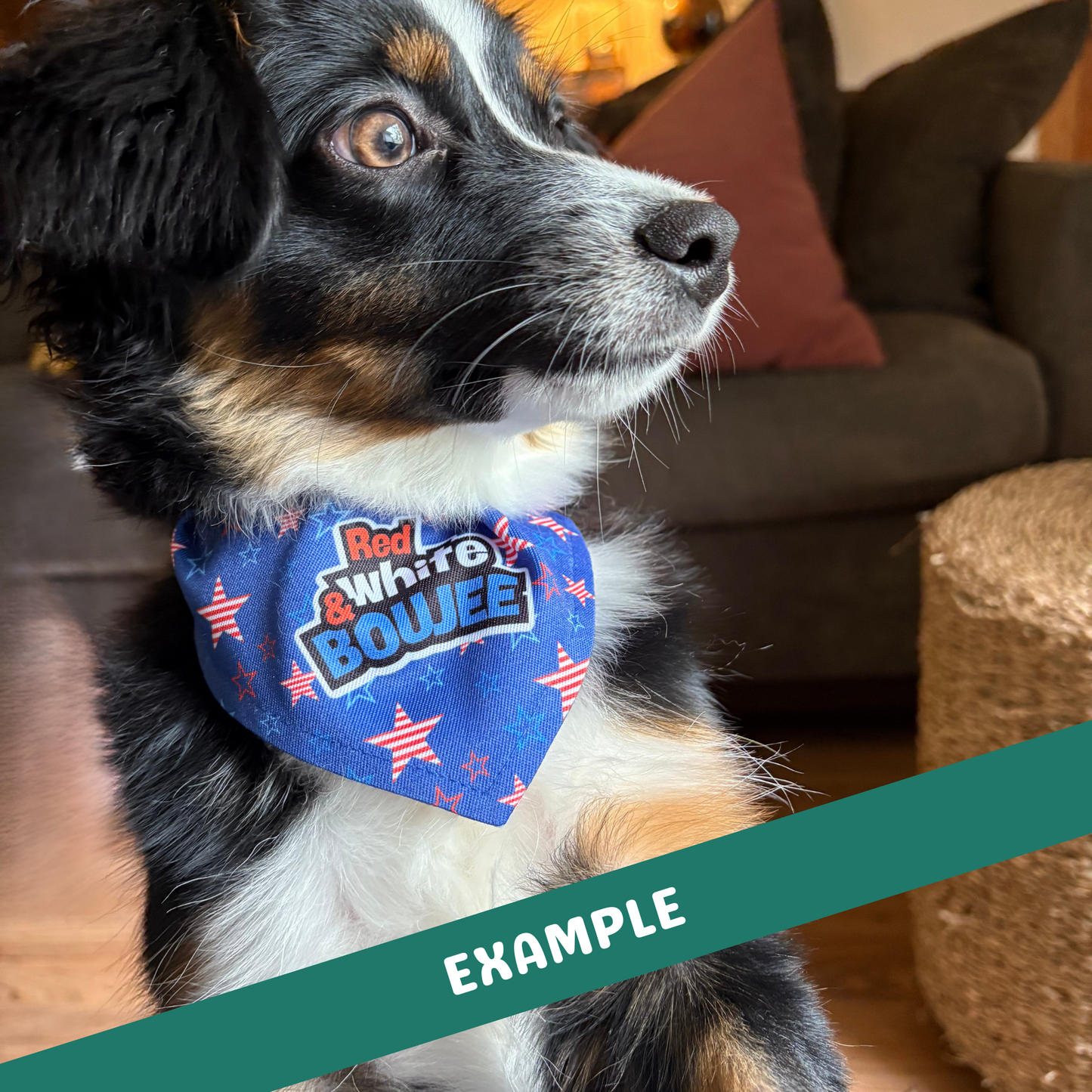 Cutest Pumpkin in the Patch Clip-on Pet Bandana