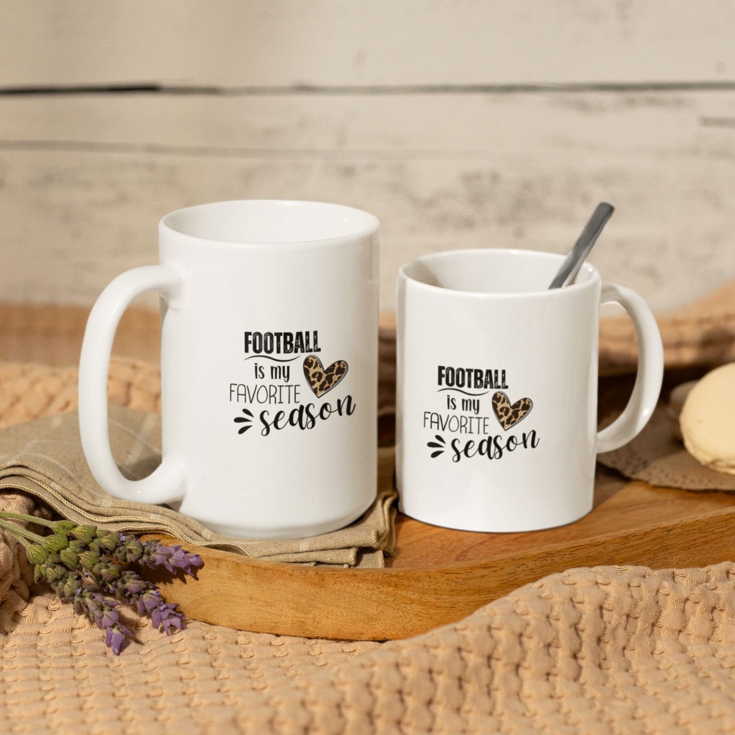 Football is My Favorite Season Mug