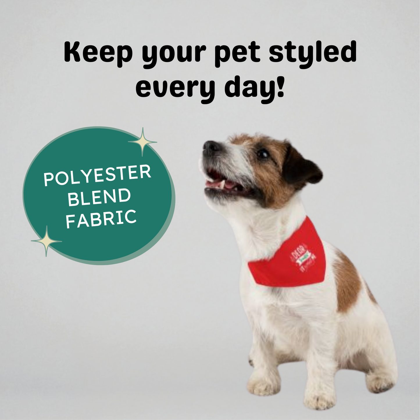 Dear Santa, It Wasn't Me Clip-on Pet Bandana