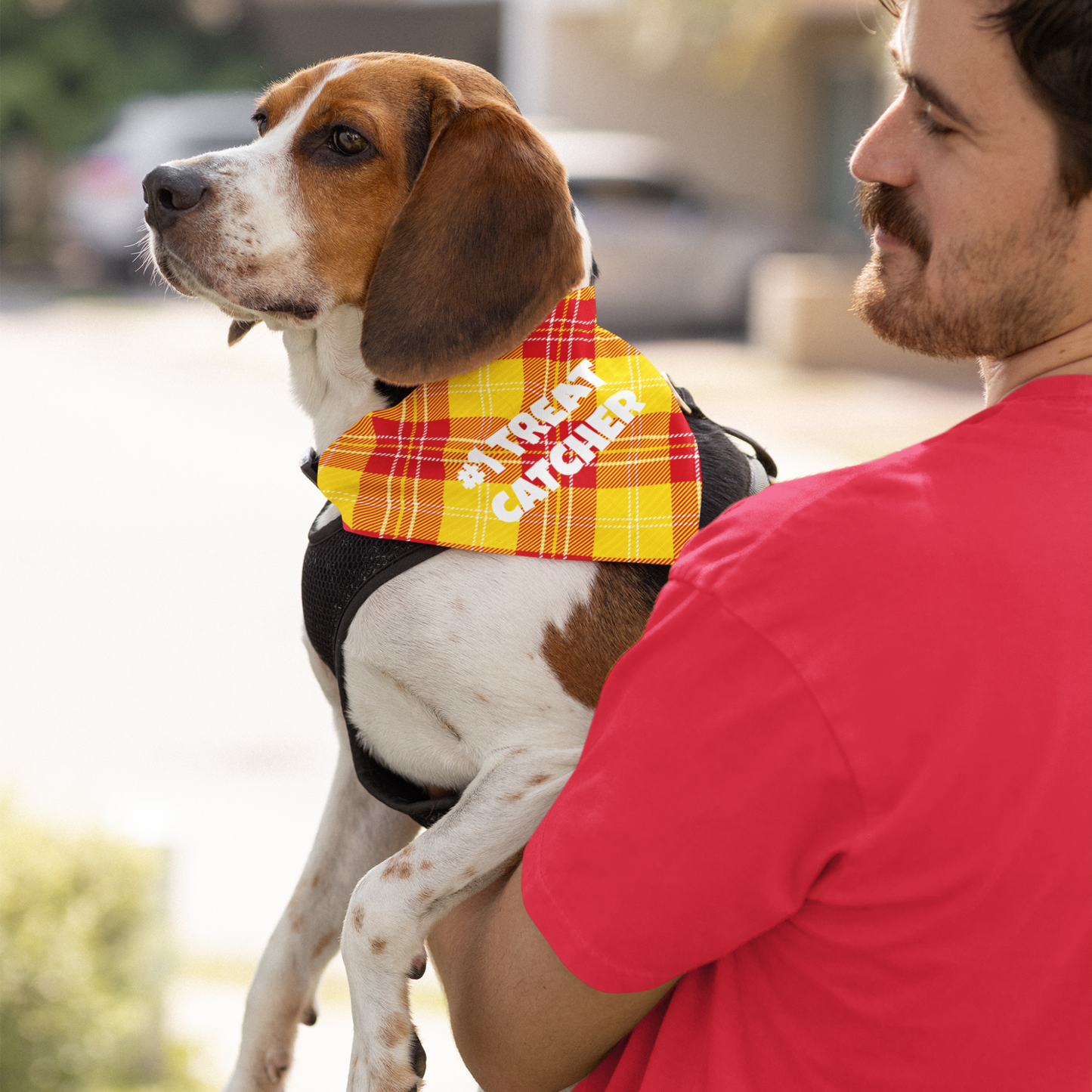 Personalized Clip-on Pet Bandana - Red & Yellow Tartan