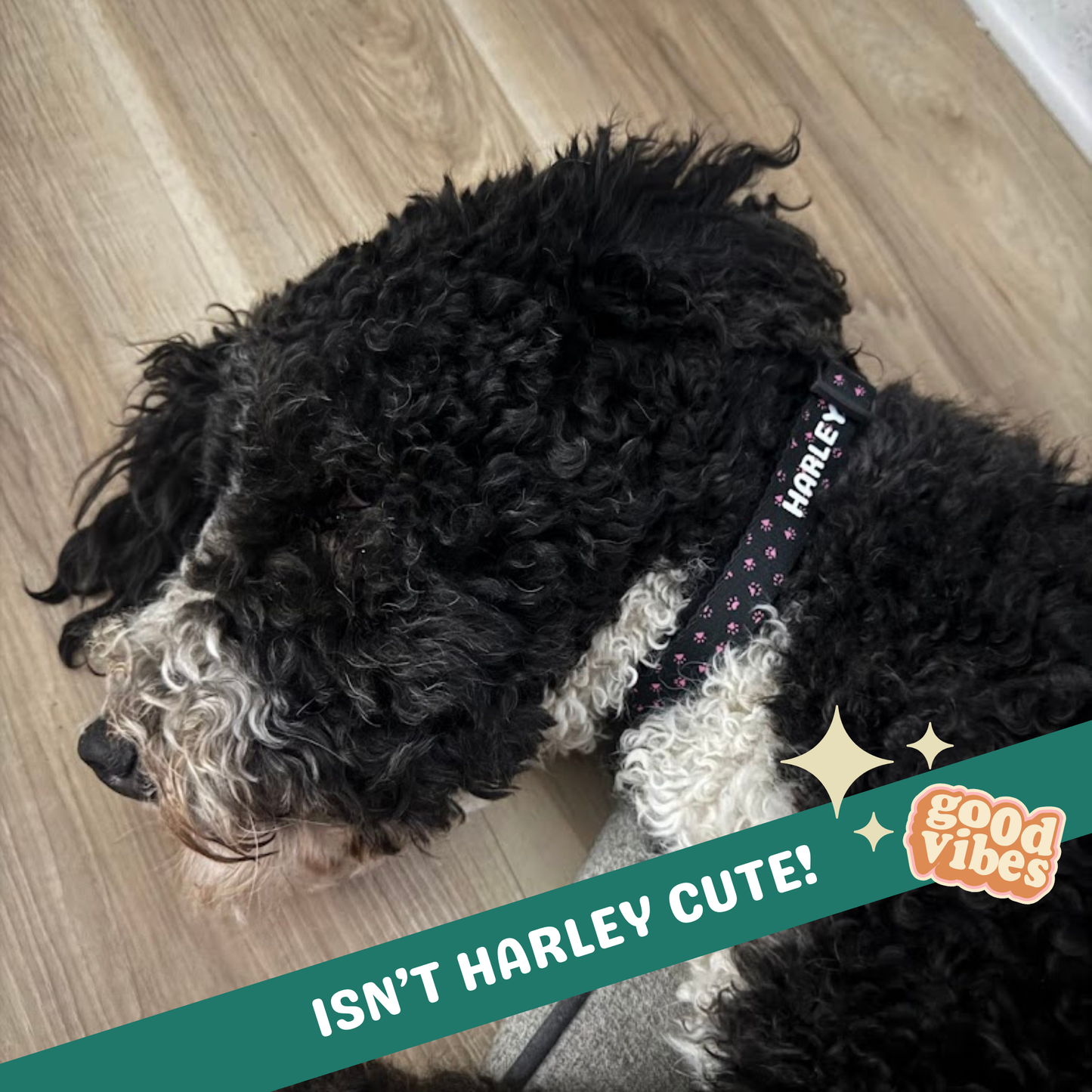 Clip-on Pet Collar - Pink Paws