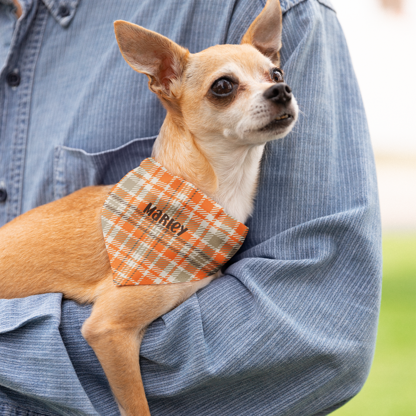 Personalized Clip-on Pet Bandana - Fall Plaid